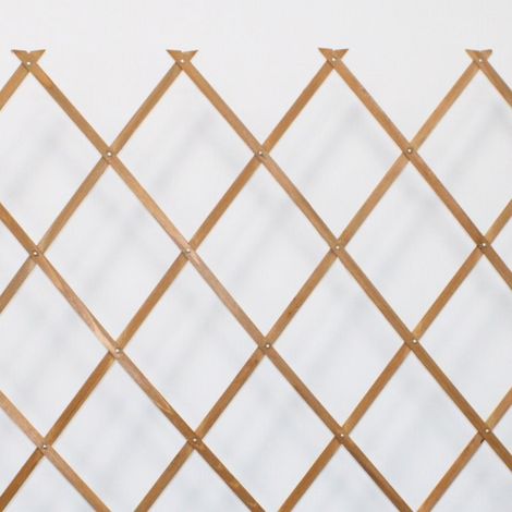 Traliccio Di Legno 100% Pino Naturale 1X2M Tutor Di Piante Resistente Decorazione Giardino (1/5)