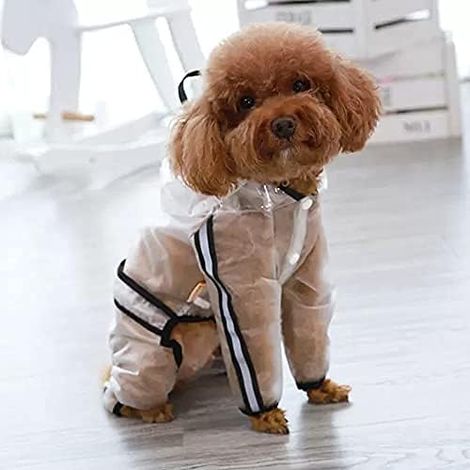 Poncho pour chien avec capuche, imperméable pour chien avec capuche, imperméable pour chien, veste imperméable pour chien (1/5)