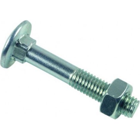 Boulon LENNIE Tête ronde collet carré TRCC - Zingué blanc - Ø10x160 - boite de 25 - BTRCC1016002B