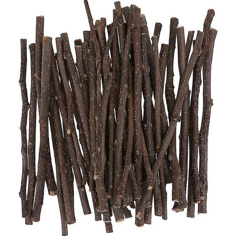 Fournitures dentaires synthétiques pour animaux de compagnie (1/3)