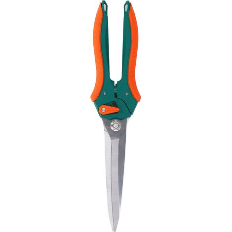 Scateur lames longues pour la taille des branches ciseaux (1/5)
