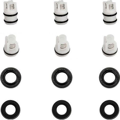 Kit de remplacement de clapets anti-retour d'huile pour nettoyeur haute pression Tête de pompe triangulaire (1/5)