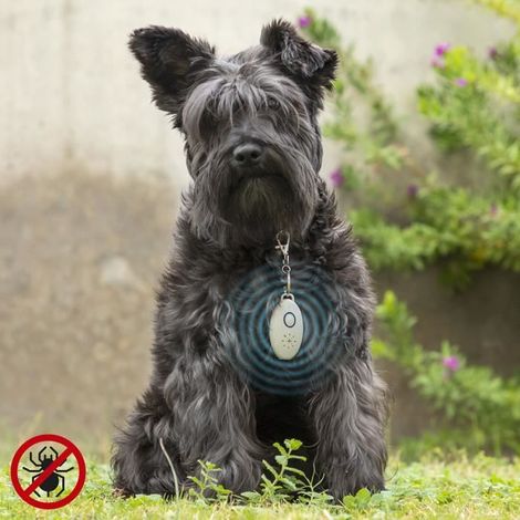 Répulsif antinuisible ultrasónico recargable para mascotas PetRep InnovaGoods (1/5)