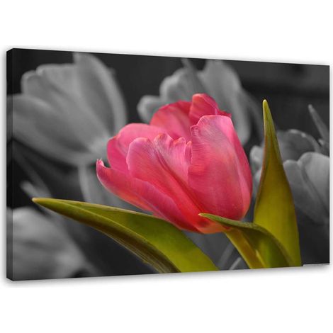 Tableau sur toile Tulipe rouge Fleurs Nature 60x40 (1/5)