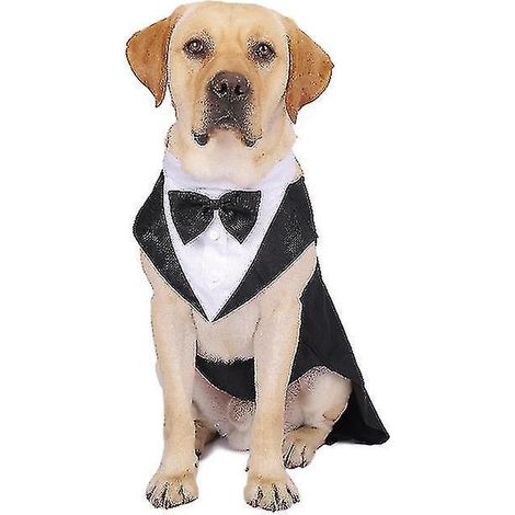 Costume smoking pour chien, costume pour animal de compagnie, robe smoking pour chien, costume de mariage, costume de fête - Taille (1/5)