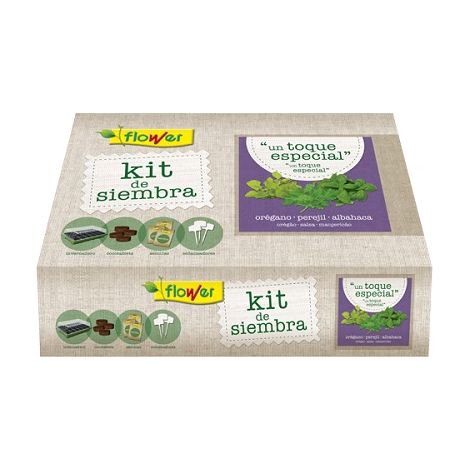Saatgut Samen Kit Special Touch -Gebet, Petersilie, Albahaca Blume