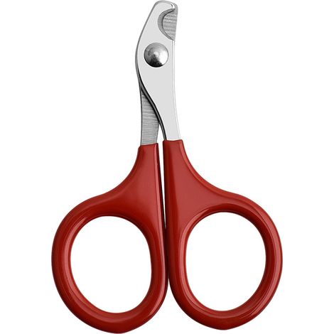 Ciseaux à ongles pour chats, ciseaux à ongles pour chiens, ciseaux à griffes d'orteil, produits de beauté professionnels pour chiots, rouge (1/5)