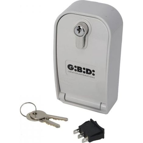 Selettore a Chiave Blindato con Sblocco Gibidi SBC04-2013 per Automazioni Cancelli e Serrande