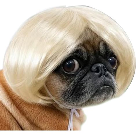 Perruques pour Chiens Frange Réglable Style Humain Animal Costume (1/5)
