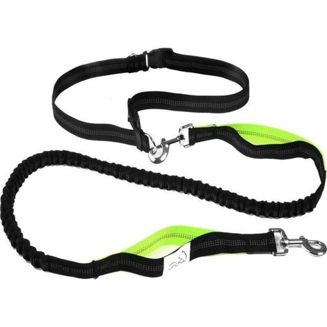 Laisse Mains Libres - Tm - Réglable - 120 cm à 200 cm - Nylon - Pour Chien (1/4)