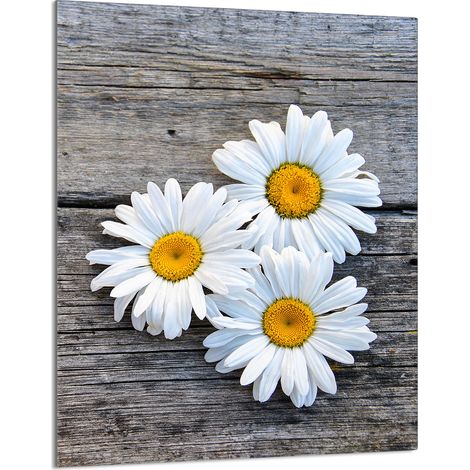 TABLA DE CORTAR DE VIDRIO 40x52 Daisy (1/5)