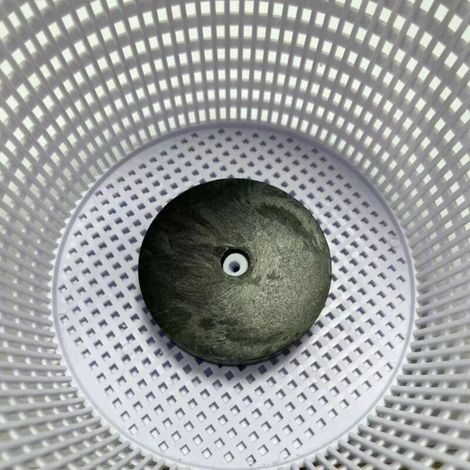 Panier Filtre de Skimmer de Remplacement 8 Pouces avec Contrepoids pour Piscine Capture les Feuilles et Débris Grande Capacité (1/4)