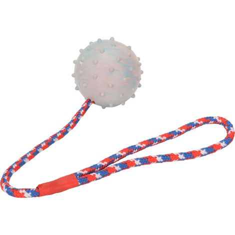 Balle à mâcher en caoutchouc avec corde pour chiots, jouet de dentition pour chiens de petite et moyenne taille (1/5)
