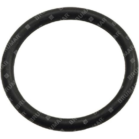 O-Ring für KOMPATIBLE BERTOLINI-Pumpen - 003319