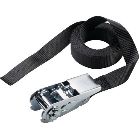 Master Lock Correa de trinquete certificada TÜV, 250 x 2,5 cm