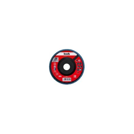 DISCO LAMELLARE IN ZIRCONIO DIAM. 125 MM GRANA 120 CON SUPPORTO IN PLASTICA