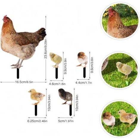 Lot de 5 poules décoratives de jardin faites à la main - Statues de poule pour décoration extérieure - Famille de poules décoratives