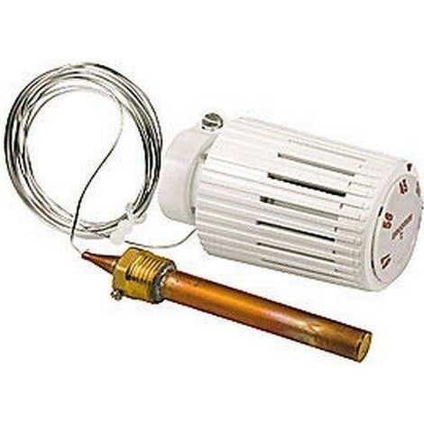 Testa termostatica limitatrice di temperatura con sensore a liquido a distanza Giacomini R462LX R462LX021