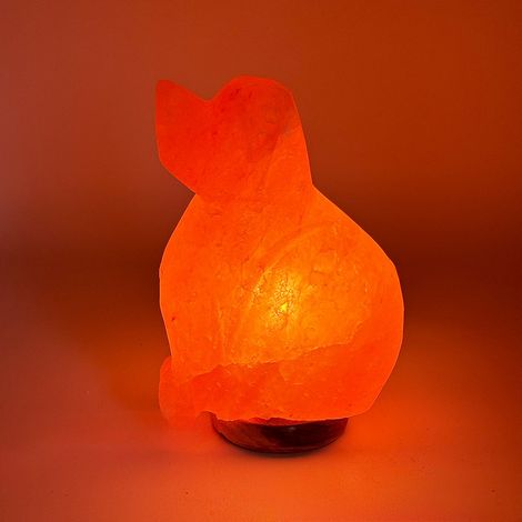 Lampada di Sale Himalayano Rosa naturale a forma di Cane 3-4Kg (1/2)