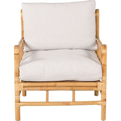 Cane Fauteuil (1/5)