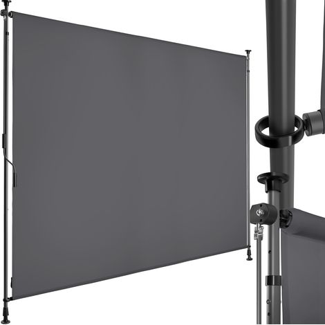 Store banne avec manivelle et tissu opaque 200x310cm gris foncé