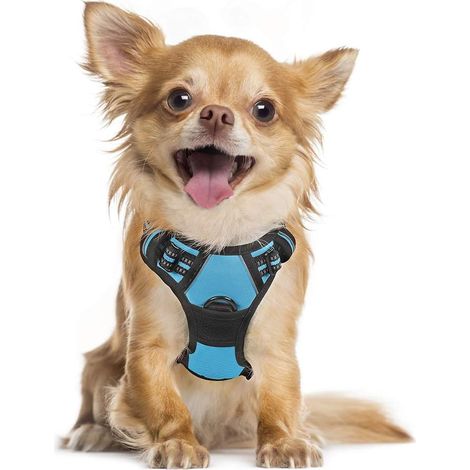Harnais chien anti-traction bleu clair S, gilet réfléchissant réglable, attache devant, pour Bouledogue Français, Berger Australien, randonnée, voiture – DELKEVIC (1/5)