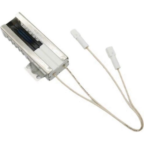 Allumeur de four à gaz de remplacement DG94-01012A pour plusieurs modèles (1/5)