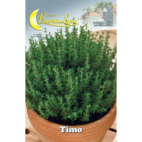 10PZ SEMI ORTO TIMO (1/2)