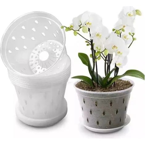 Support pour plantes Green Frog Design, 10 unités (1/5)