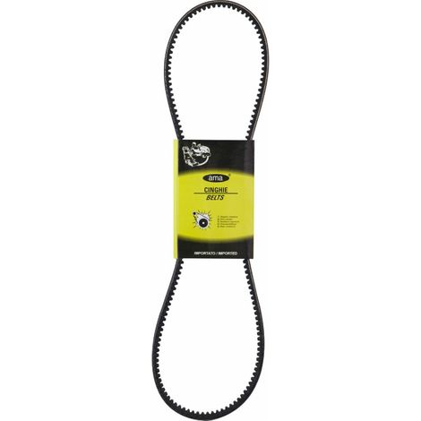 Courroie crantée de transmission 4796327 adaptable CNH (1/2)