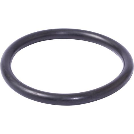 O-Ring-Dichtung 10x100 MASCHIO F03011142R