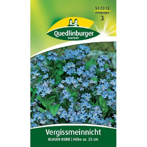 Quedlinburger Vergissmeinnicht Blauer Korb - Blumensamen (1/2)