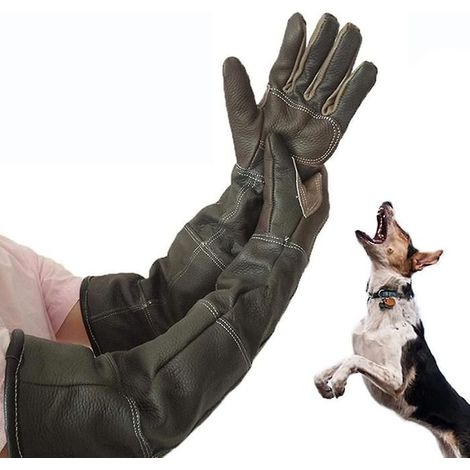 Gants de protection - Cuir de vachette - Longs - Protection contre les morsures - Jardinage (1/2)