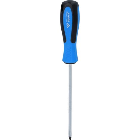 BRILLIANT TOOLS Tournevis à fente 5,5 x 125 mm - BT031004 (1/5)