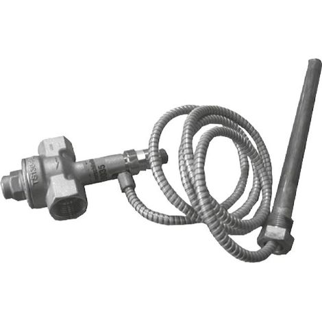 Therm. Ablaufsicherung 100°C - 7387405 von Viessmann