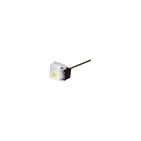 Thermostat à canne COTHERM embrochable - TUS 450E - Longueur 450 mm