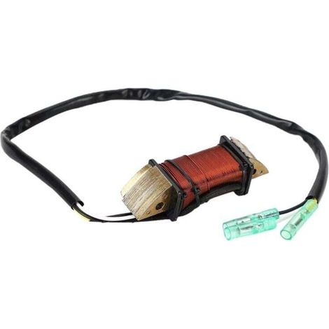 Bobine D'Éclairage Assy pour M 9.9 15 18 2002-2003 Hors-Bord 3G2-06023-1 (1/4)