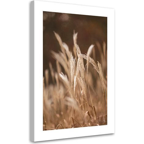 Tableau sur toile Herbe sèche dans la prairie 40x60 (1/5)