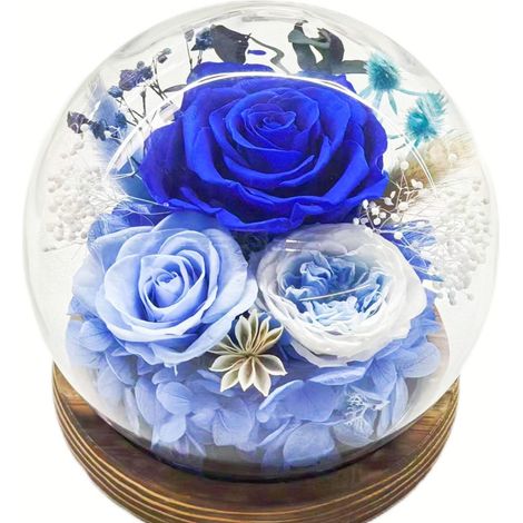 Caja de regalo con flores preservadas: cúpula de cristal esférica con tira de LED integrada un regalo práctico para cumpleaños y San Valentín. Estilo 4