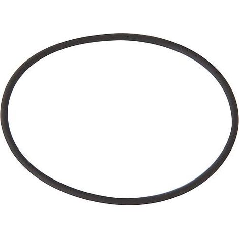 Joint torique pour pompe de circulation UNISTAR 2000-B (31 079 64) BG