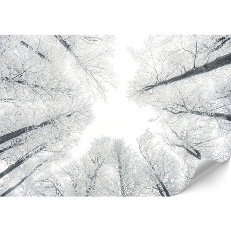 Papel pintado no tejido estándar - 100 x 70 cm - Estilo escandinavo - Naturaleza Papel pintado no tejido premium - 200 x 140 cm - Estilo escandinavo - Naturaleza (1/4)
