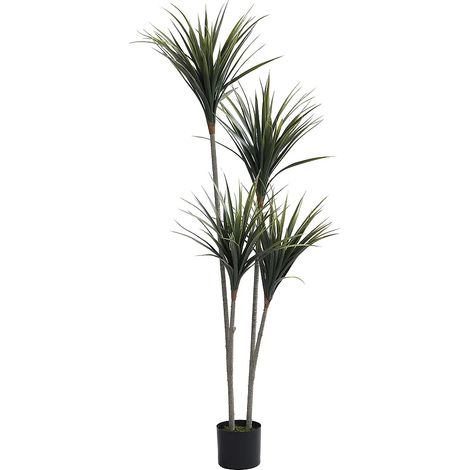 Pianta artificiale Yucca con vaso H.150 - LYA (1/5)