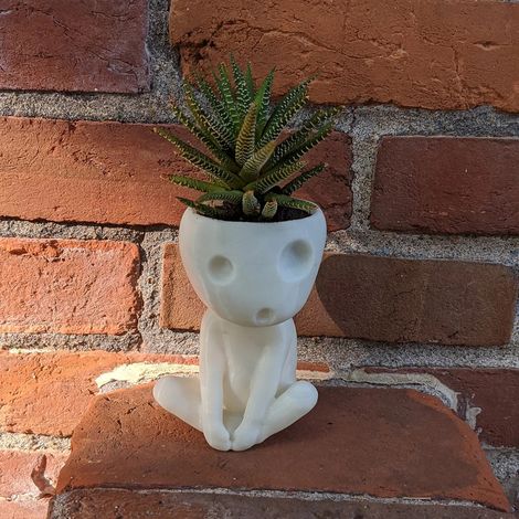 Pot de Fleur Visage Lumineux en Résine avec Trou de Drainage pour Plantes Grasses - Décoration Bureau Maison (1/5)