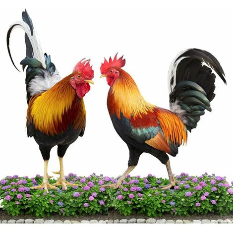 Statue De Poule - Statue De Coq En Résine Pour Jardin Extérieur - Décoration Animale De Pelouse Résistante Aux Intempéries - 2 Pièces