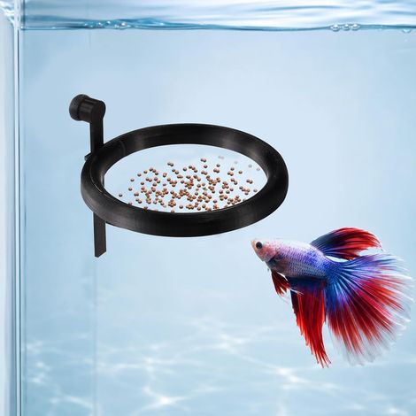 Anneau Magnétique pour Poisson, Distributeur Flottant (Noir) (1/5)