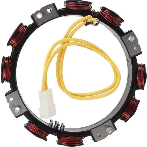 Black Me Stator de bobine d'alternateur 16 A pour moteur de tondeuse à gazon 592830 696458 691064 393295 845907 394890 797375 393374 691185 GT235 LT164 (1/5)