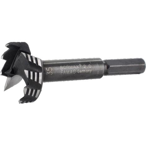 Famag SP-Forstnerbohrer Bormax 10mm Senker Zylinderkopfbohrer 162201000 (1/5)