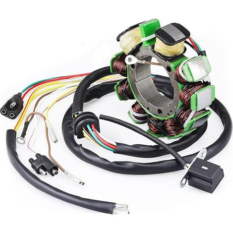 Magnetic ignition coil 3085561 3086821 for motorcycle, compatible with POLARIS 500--DTEKGAZ