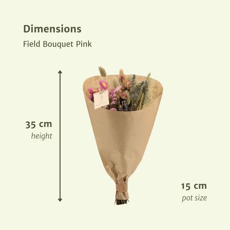 Bouquet de Fleurs Séchées Champêtre Rose Décoration Intérieure et Plumeaux Ø15 cm x 35 cm - PANGIVO (1/4)