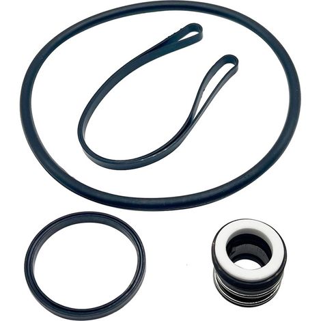 Kit de Réparation pour Pompe Hayward SP3000X – Ensemble de Joints d’Arbre SPX1600Z2 PS-201 (1/4)